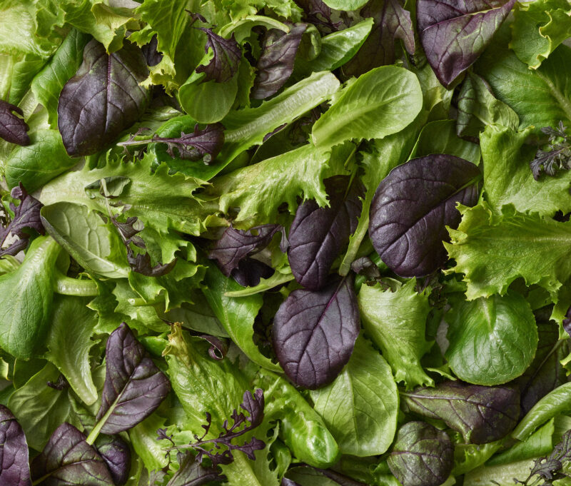 Järvikylän Maukas_ilman pakkausta