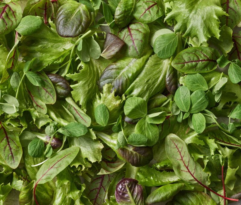 Järvikylän Raikas_ilman pakkausta