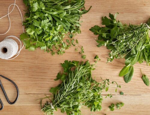 Bouquet garni – helppo yrttikimppu pataruokiin ja keittoihin