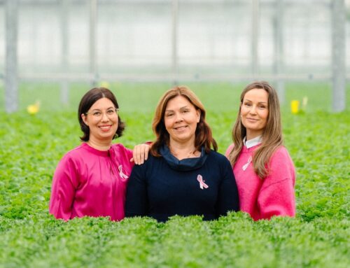 Famifarm juhlii 10-vuotista Roosa nauha -kumppanuutta: ”Hyväntekeminen on tehty kaikille helpoksi”
