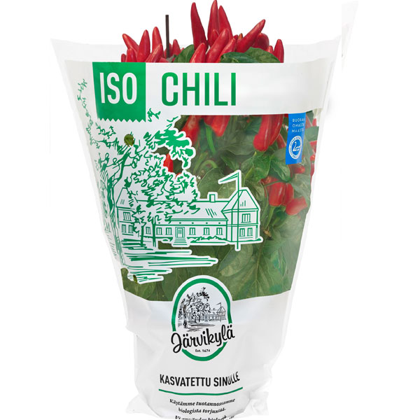 Järvikylän Iso Chili on maultaan keskivahva, tuore maustekasvi.