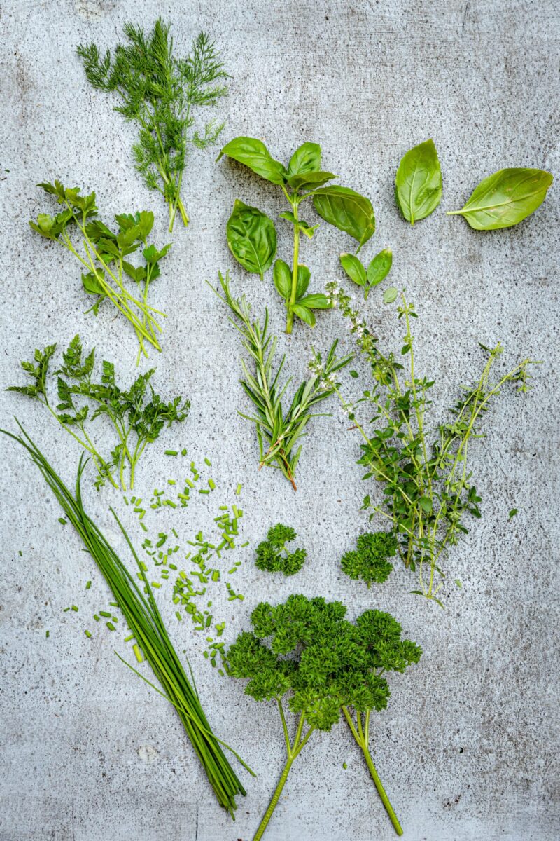 Yrttien käyttö ruoanlaitossa
