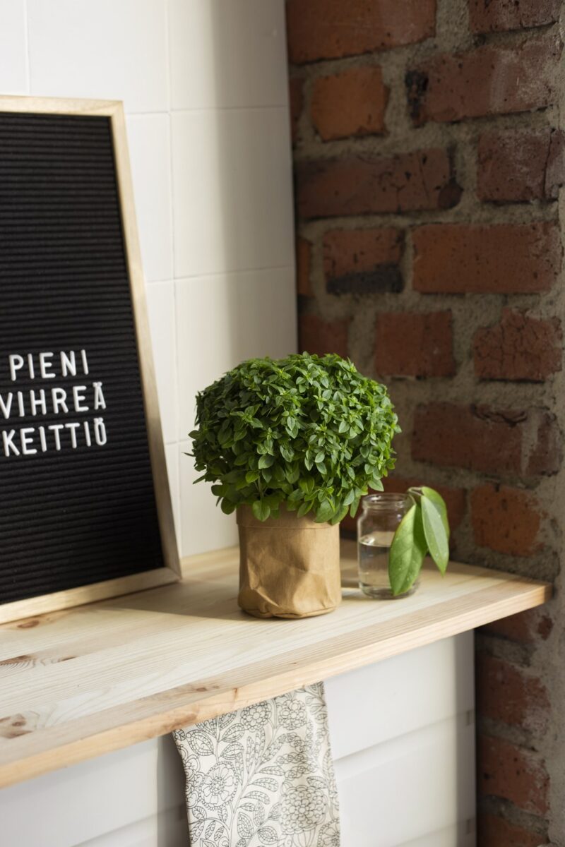 Yrttien kasvatus kotona