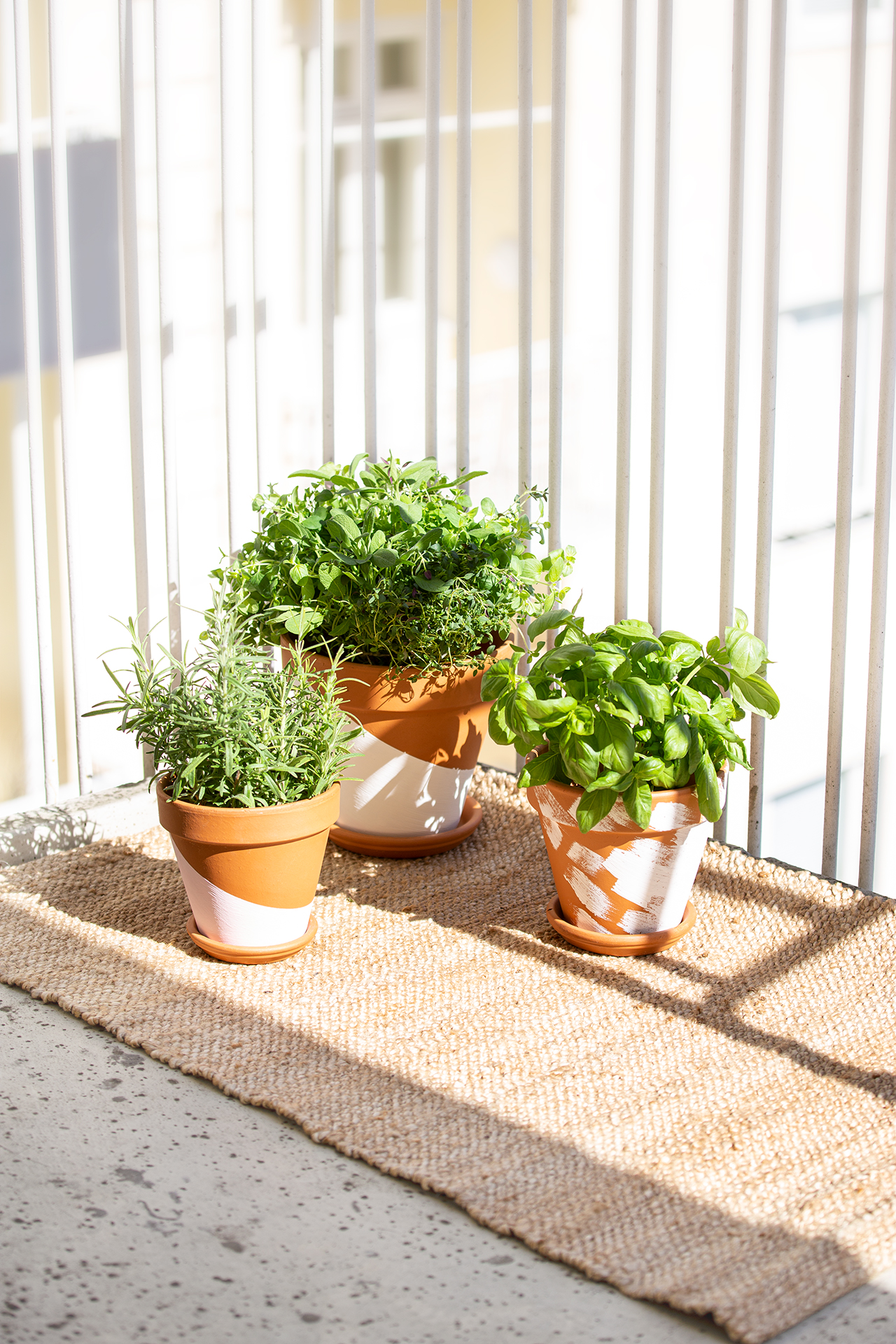 Yrttien kasvatus ja hoito