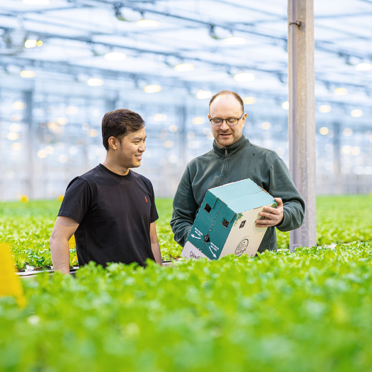 Famifarm SBTi-tavoitteiden asettaminen