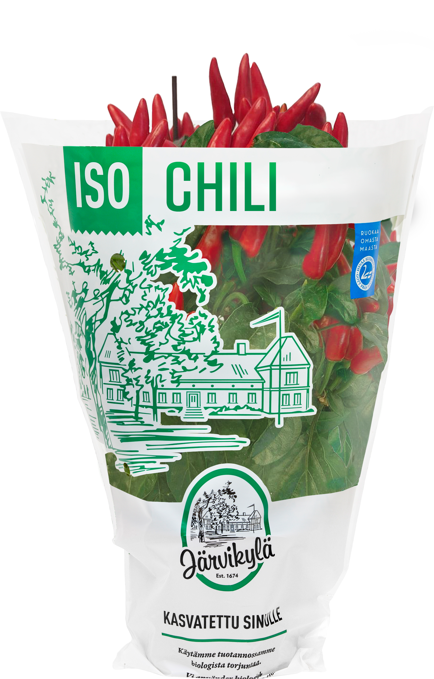 Järvikylä Iso Chili