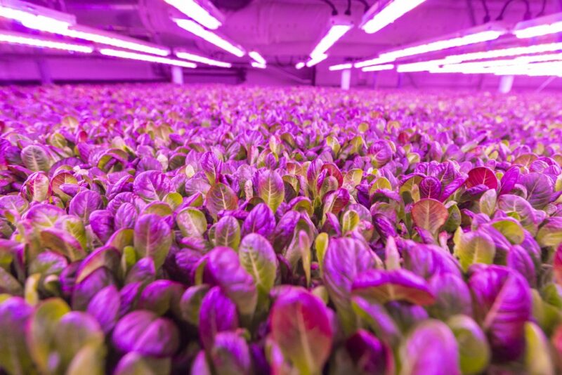 Famifarm kerrosviljely