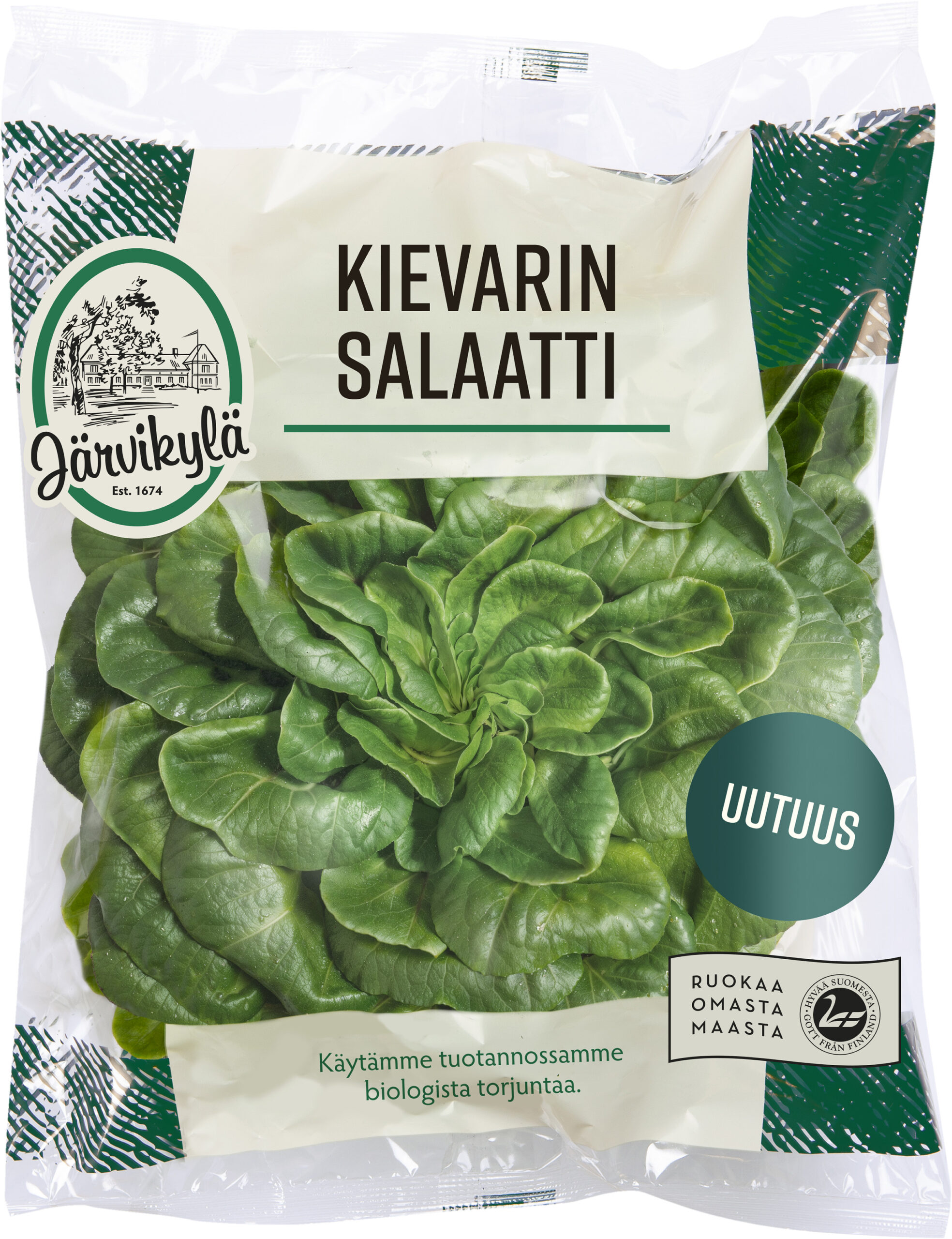 Järvikylän Kievarin salaatti on tuuheana ruusukkeena kasvava, kauniin vihreä salaatti. Se on pussissaan ilman ruukkua.