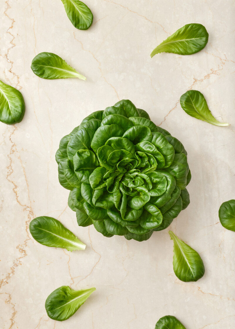 Järvikylä Kievarin salaatti