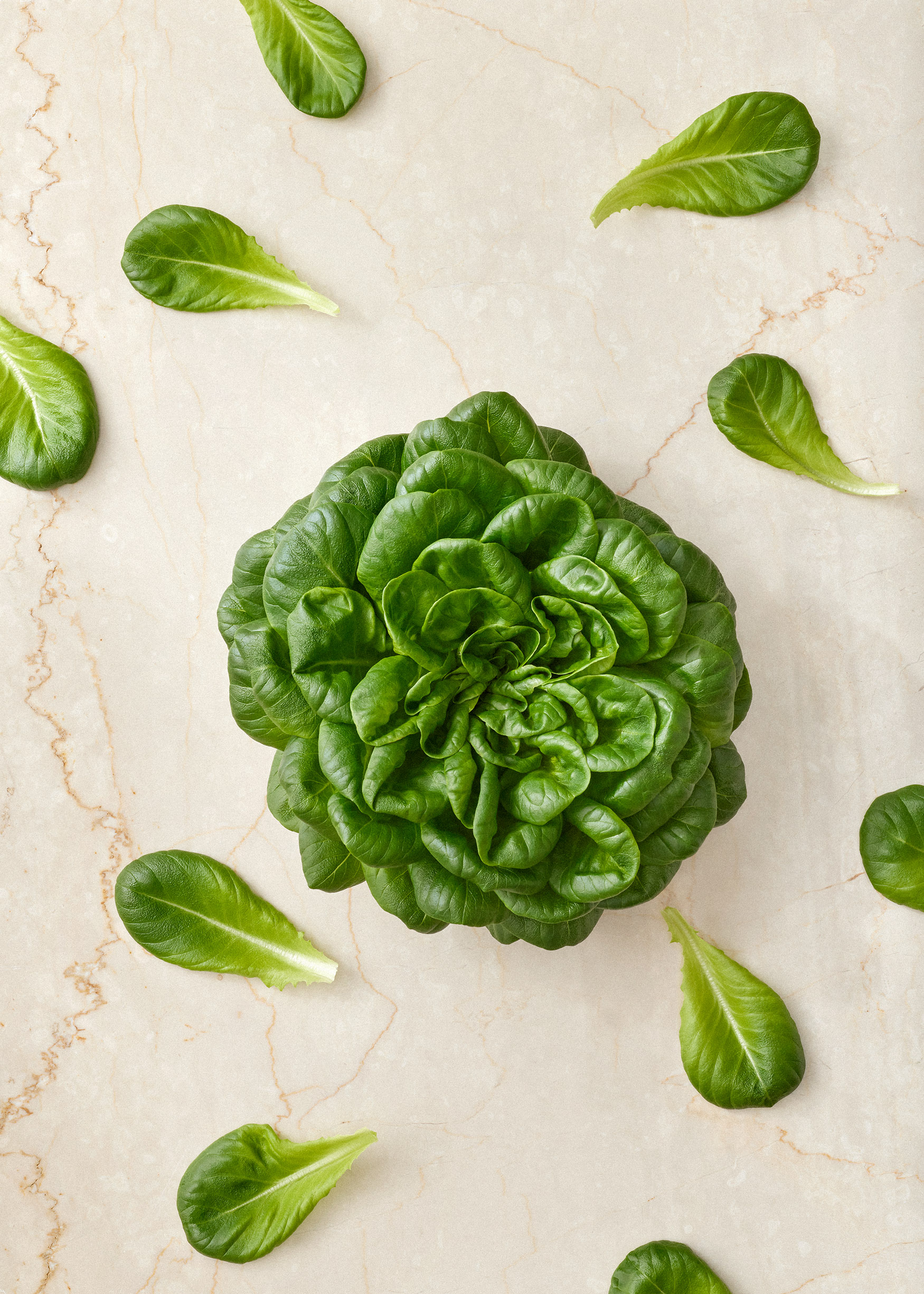 Järvikylä Kievarin salaatti