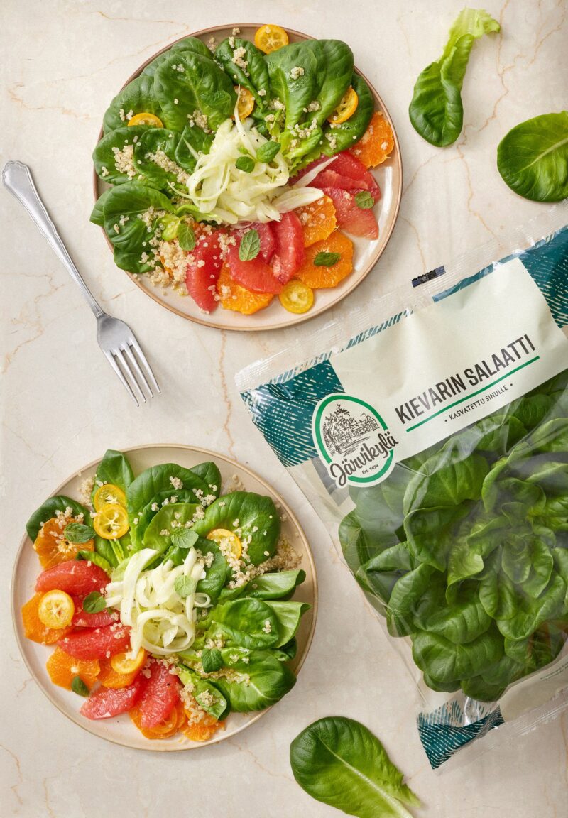 Kievarin salaattia, sitrushedelmiä ja fenkolia