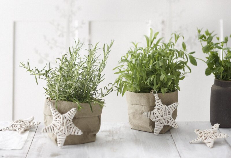 DIY-joululahjat yrttiruukut